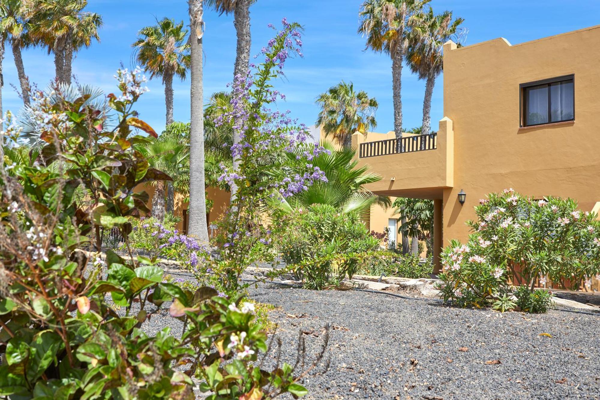 Apartamento Samira Fuerteventura 科拉雷侯 外观 照片
