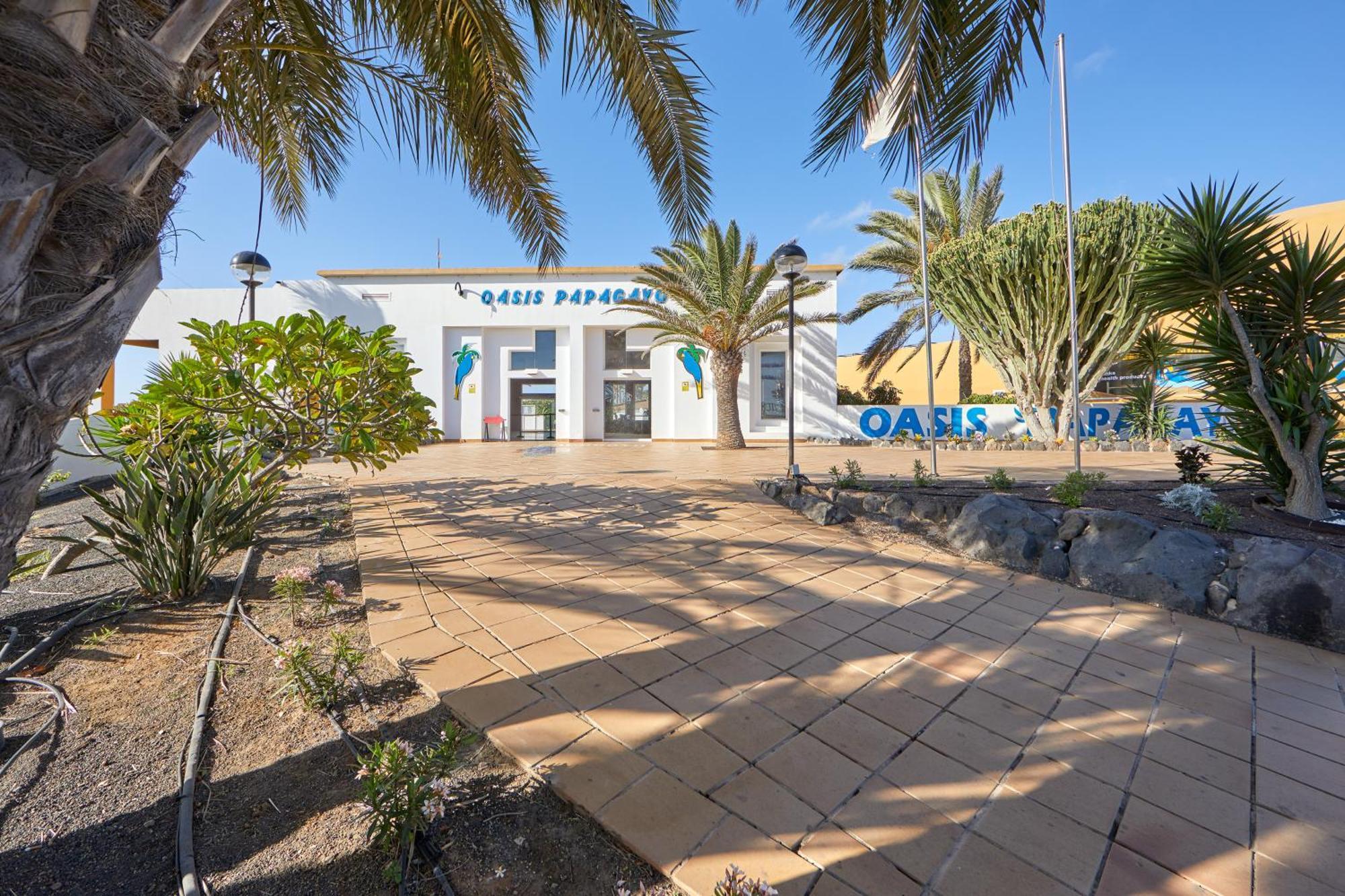 Apartamento Samira Fuerteventura 科拉雷侯 外观 照片